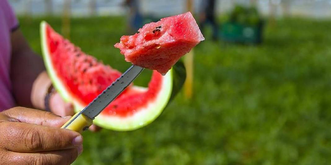 Yaz demek ‘Karpuz’ demek! Antalya’da yüzleri güldüren ilk hasat yapıldı 5
